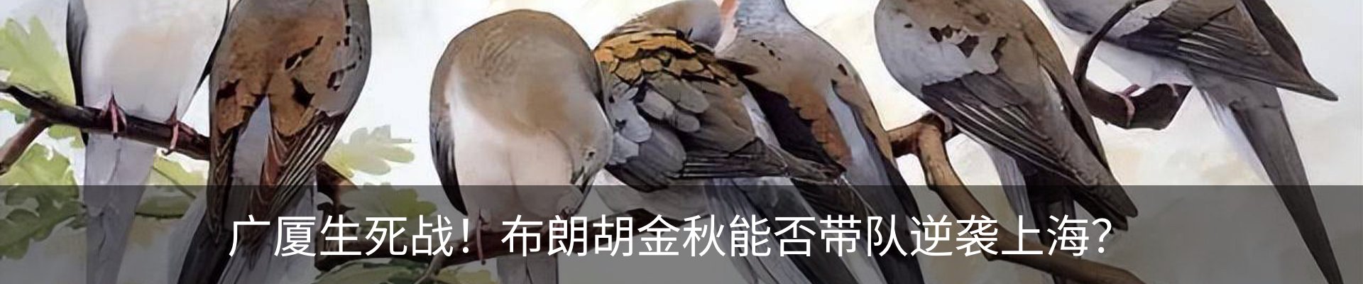 内页banner