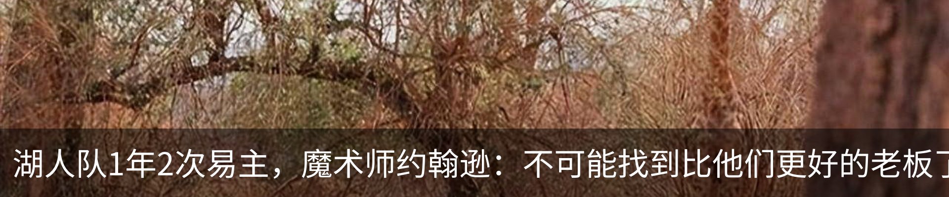 内页banner