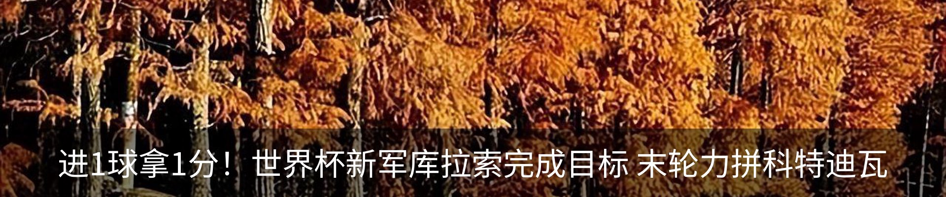 内页banner