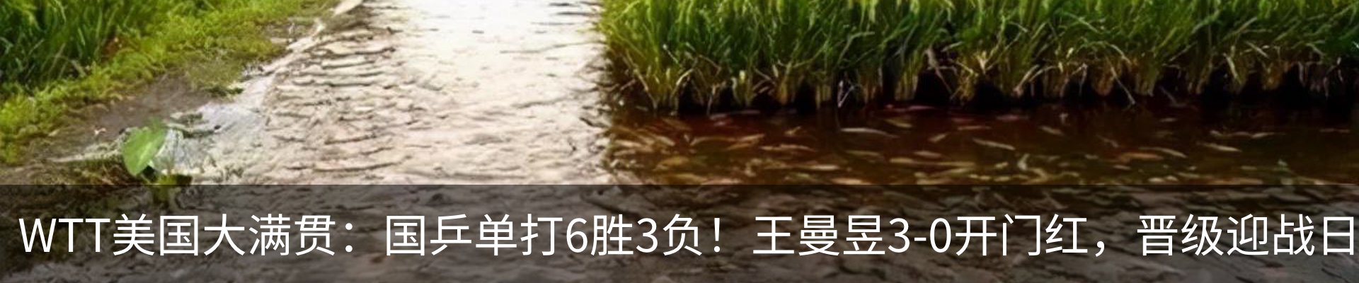 内页banner